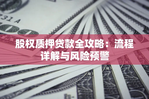 北京股权质押贷款全攻略：流程详解与风险预警