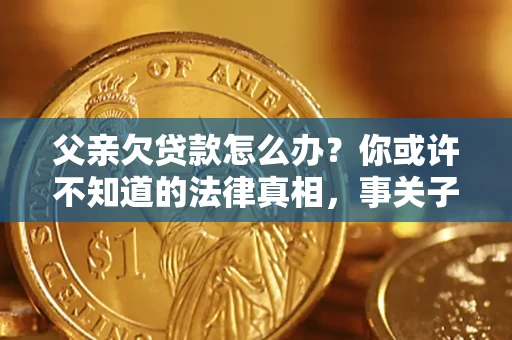 北京父亲欠贷款怎么办？你或许不知道的法律真相，事关子女未来