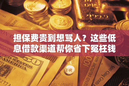 北京担保费贵到想骂人？这些低息借款渠道帮你省下冤枉钱