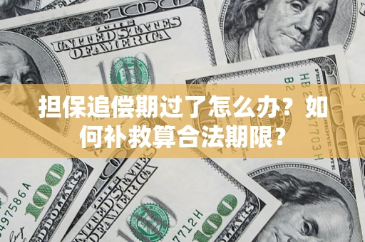 北京担保追偿期过了怎么办？如何补救算合法期限？