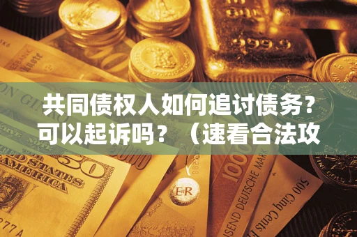 北京共同债权人如何追讨债务？可以起诉吗？（速看合法攻略）